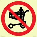p925-prohibition-no-standing-in-trolley~